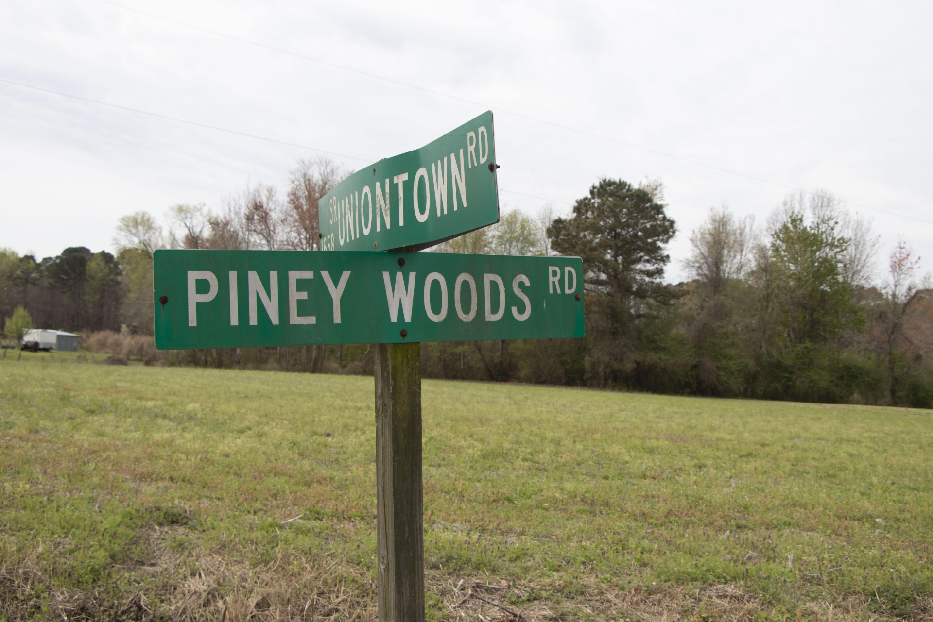 [Hero Slide] Piney Woods Free Union Street Sign-min