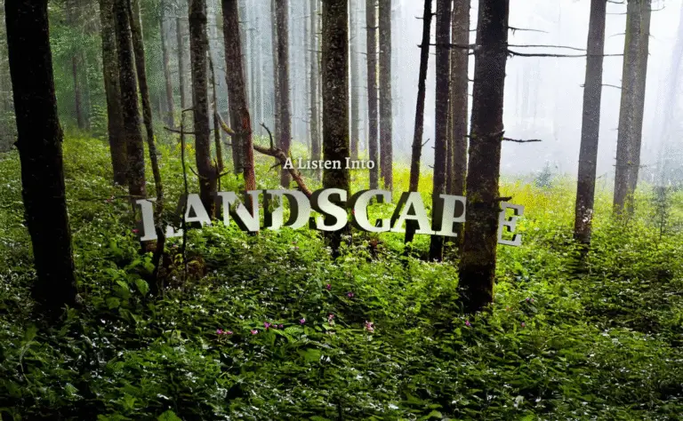 A Trip Down the Crooked River